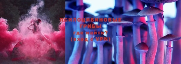 крисы Алексин
